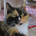 IMG_7497 Mv (2).webp