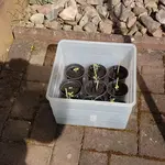 20180419_152928.webp