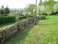 IMG_6044.jpg
