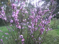 BILD9219.webp