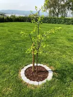 IMG_2840.webp IMG_2840.webp