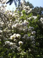 BILD9267.webp