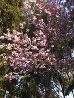 BILD9255.webp
