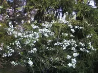 BILD9253.JPG