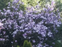 BILD9247.webp
