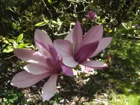 BILD9251.webp