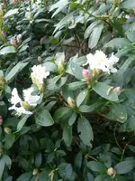 20180423_093159.webp