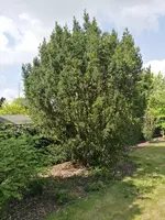 IMG_20180423_122837.webp