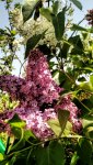 IMG_20180422_115803398.jpg