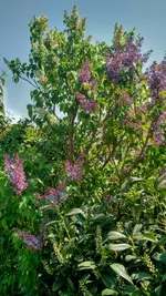IMG_20180422_115631007_HDR.webp