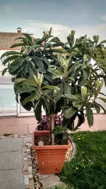 IMG_20180423_172643088_HDR.webp