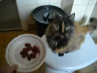 IMGP6064.webp