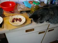 IMGP6065.webp