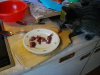IMGP6066.webp