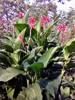 Foto0271.webp Foto0271.webp