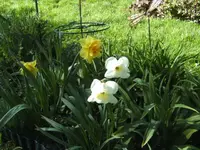 BILD9233.webp
