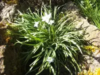 BILD9231.webp