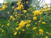BILD9216.webp