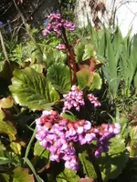BILD9264.webp
