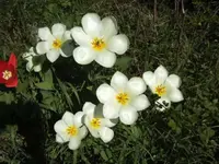 BILD9207.JPG
