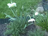 BILD9200.webp