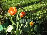 BILD9199.JPG