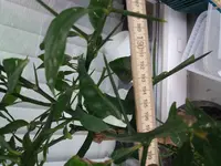 20180424_124418.webp