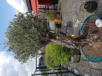 20180423_122902.webp