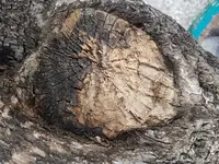 20180423_122909.webp