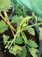 IMG_20180424_200117.webp