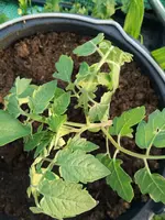 IMG_20180424_200058.webp