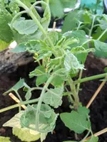 IMG_20180424_200045.webp