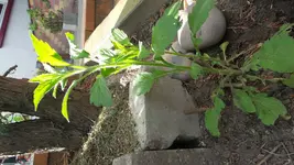 20180422_171701.webp