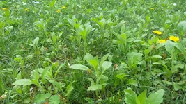 20180422_171730.webp