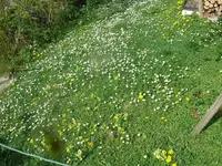 k-P1120954.webp