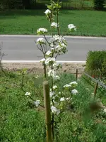 k-P1120956.JPG