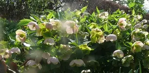 k-P1120974.webp