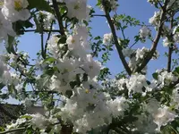 k-P1130106.webp
