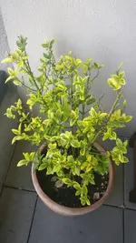 2018-04-25 09.11.37.webp