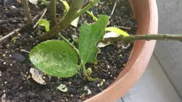 2018-04-25 09.11.51.webp