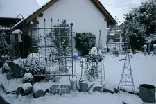 Winter2108a.webp