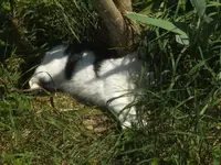 BILD9269.webp