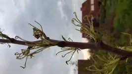 20180425_203006.jpg