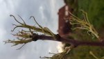 20180425_203016.jpg