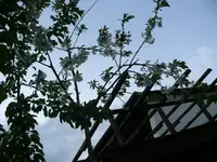 k-P1130138.JPG