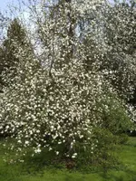 BILD9280.webp