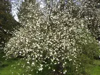 BILD9281.webp