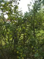 BILD9278.webp