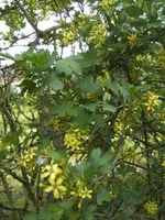 BILD9279.webp