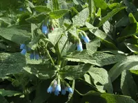 BILD9287.webp